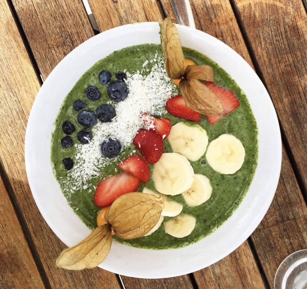 Plnthouse | restaurant | 2341 Collins Ave 6th floor, Miami Beach, FL 33139, USA | 3056046881 OR +1 305-604-6881