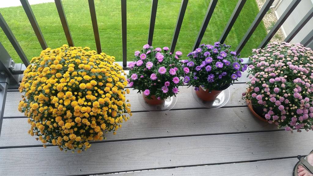 Dairy Queen | restaurant | 5071 S 136th St, Omaha, NE 68137, USA | 4028954877 OR +1 402-895-4877