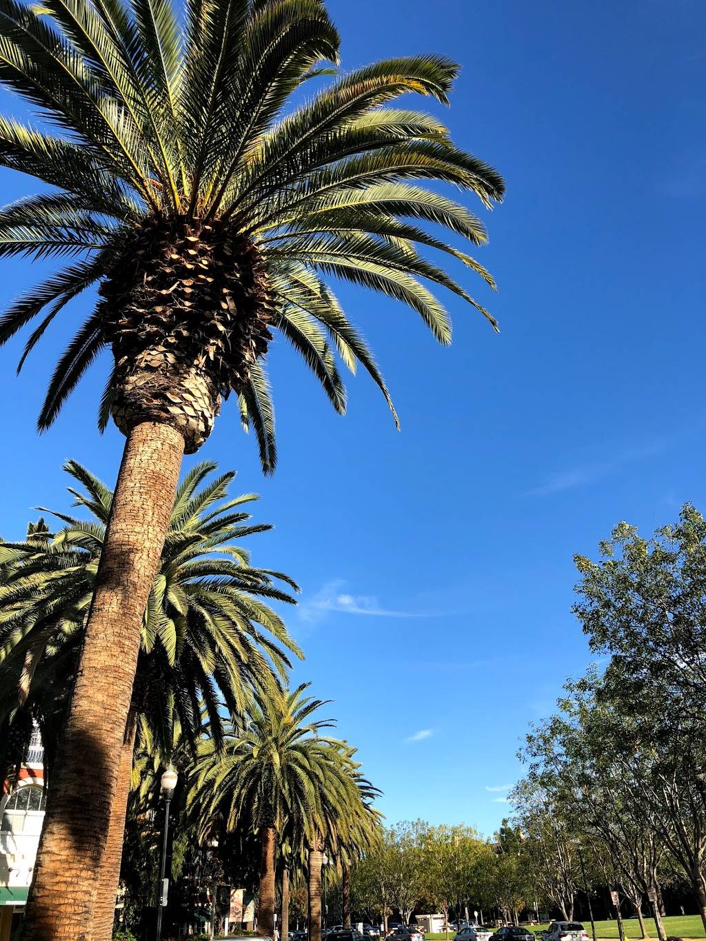 Starbucks | cafe | 31 Rio Robles E, San Jose, CA 95134, USA | 4084359621 OR +1 408-435-9621