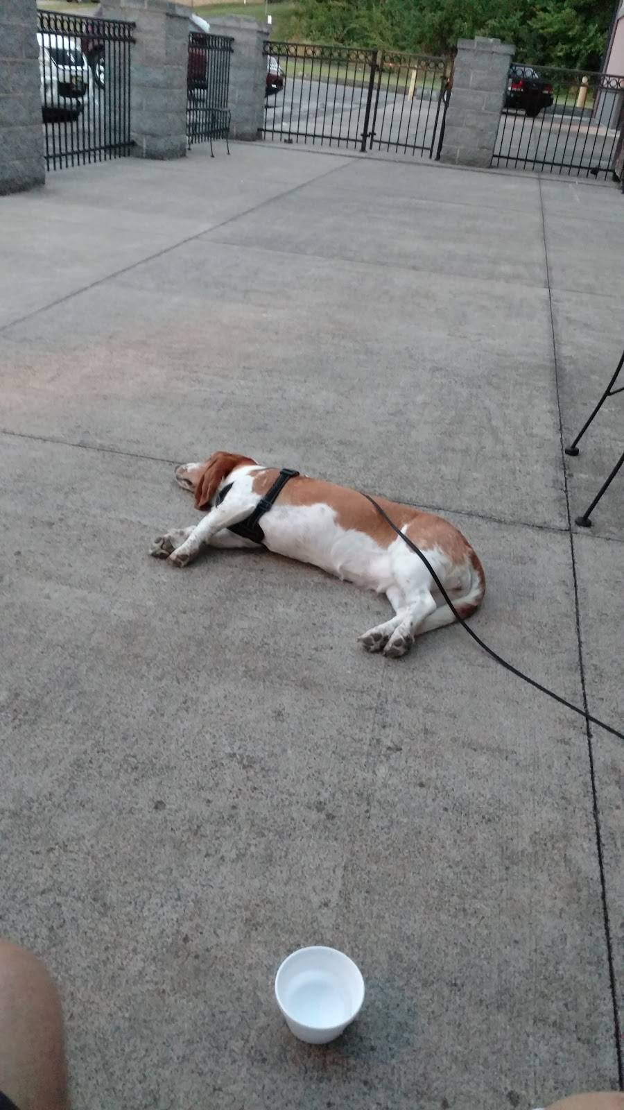 Beef O Bradys | restaurant | WEST TOWN SQUARE, 173 Hudson Dr, Elizabethton, TN 37643, USA | 4235433399 OR +1 423-543-3399