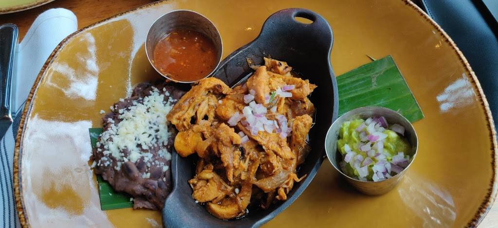 Frontera Cocina | restaurant | 1604 Buena Vista Dr, Lake Buena Vista, FL 32830, USA | 4075609197 OR +1 407-560-9197