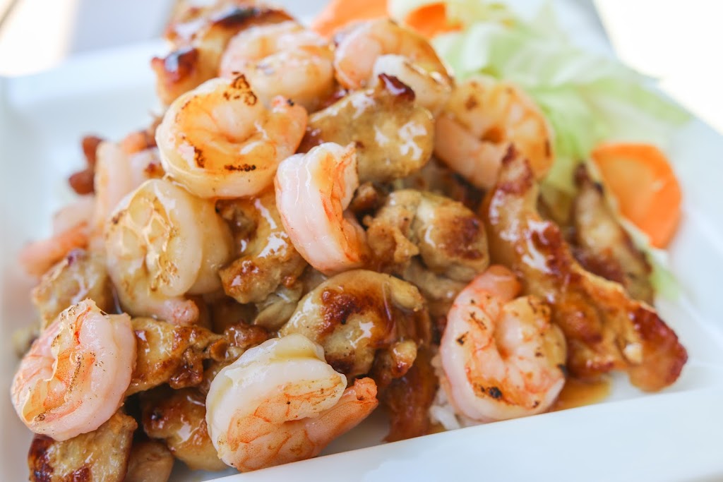 Teriyaki One | restaurant | 6900 Hadley Rd, South Plainfield, NJ 07080, USA | 9084621945 OR +1 908-462-1945