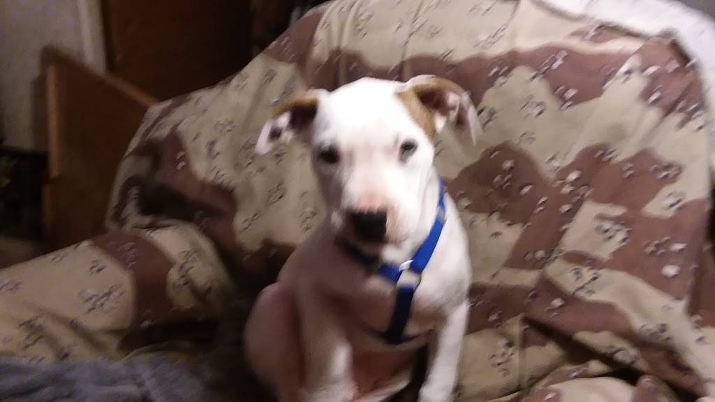 The Refuge | restaurant | 260 Main St, Colusa, CA 95932, USA | 5304583020 OR +1 530-458-3020