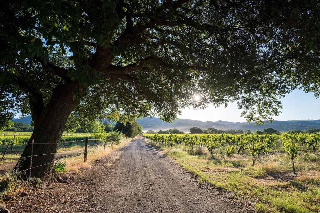 Abbots Passage Winery and Mercantile | restaurant | 777 Madrone Rd, Glen Ellen, CA 95442, USA | 7079393017 OR +1 707-939-3017