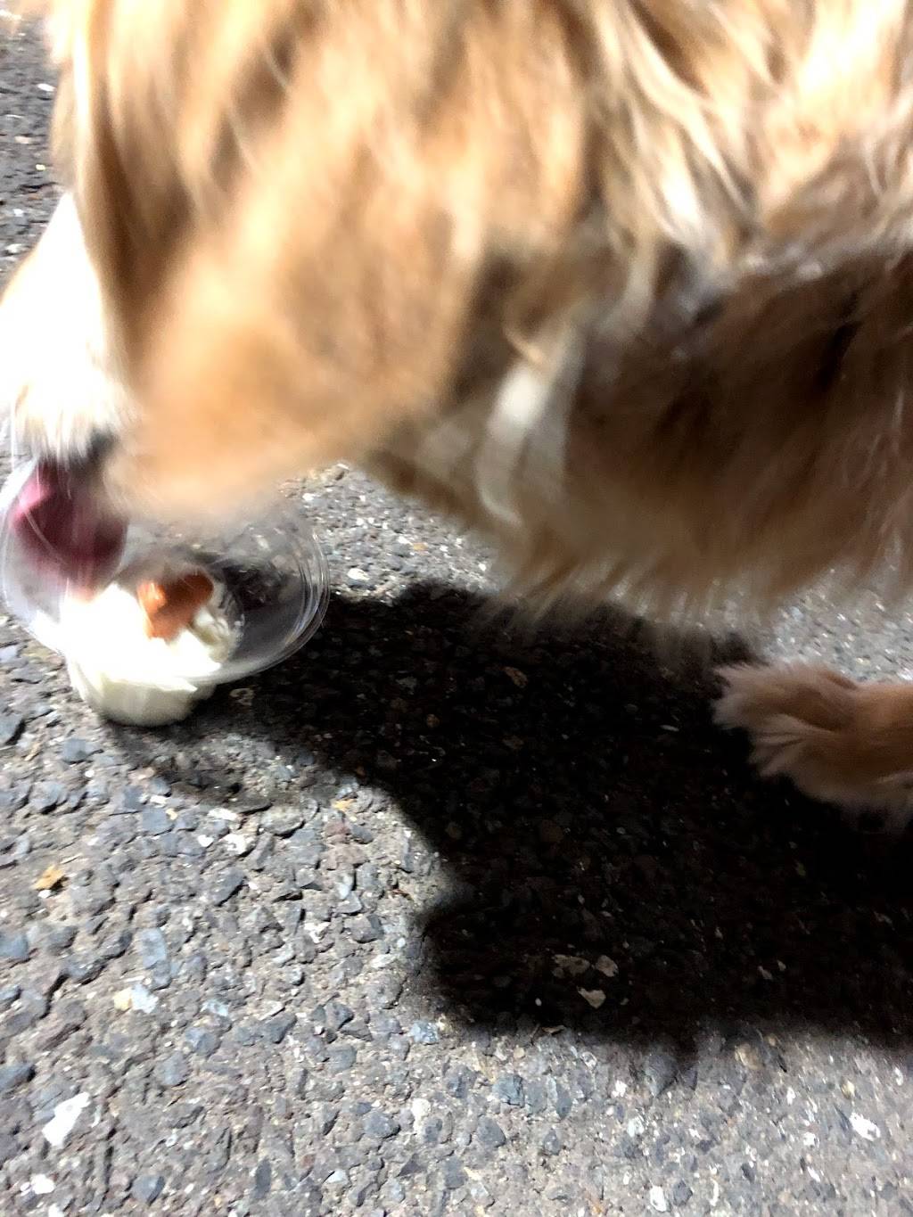 Ritas Italian Ice & Frozen Custard | restaurant | 323 E Gay St, West Chester, PA 19380, USA | 6107389090 OR +1 610-738-9090