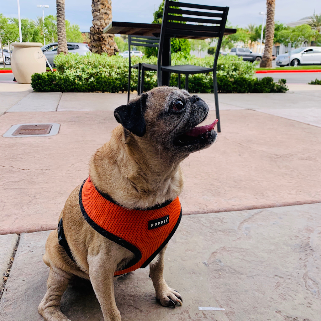 Sunny Side Up | cafe | 750 S Rampart Blvd Suite 15, Las Vegas, NV 89145, USA | 7257773737 OR +1 725-777-3737