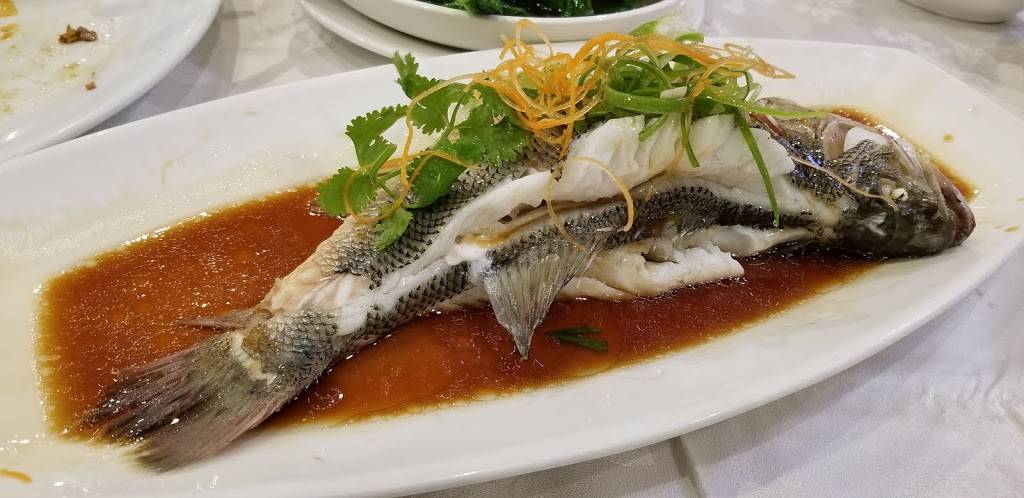 Da Fu Seafood Cuisine 新大福海鮮酒樓 | restaurant | Canada, Ontario, Scarborough, Steeles Ave E, Unit 1-4邮政编码: M1V 5P6 | 4163216898 OR +1 416-321-6898