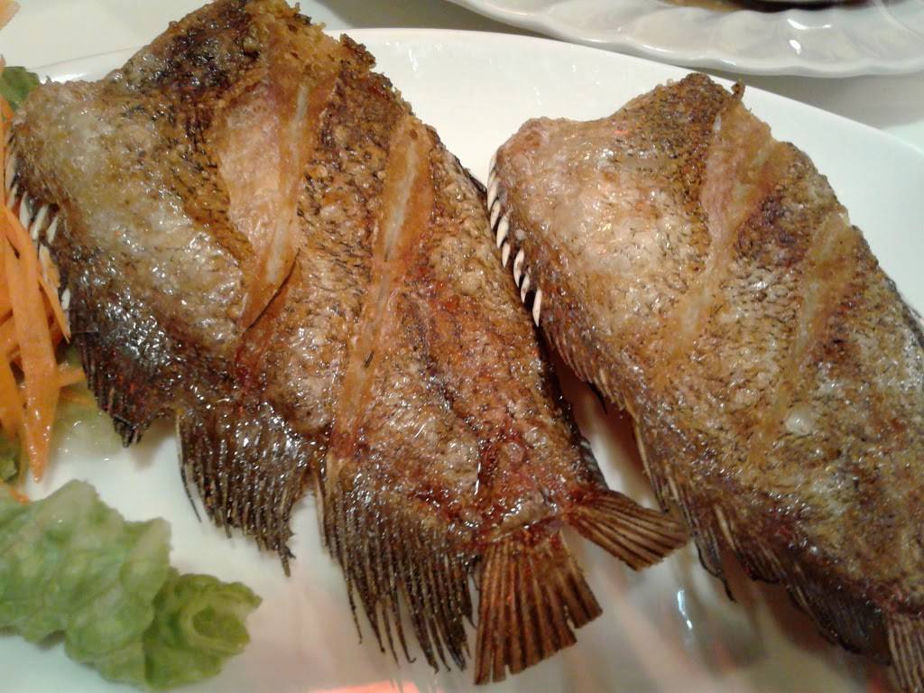 tom yum cafe | restaurant | 608 W Barry Ave, Chicago, IL 60657, USA | 7732705646 OR +1 773-270-5646