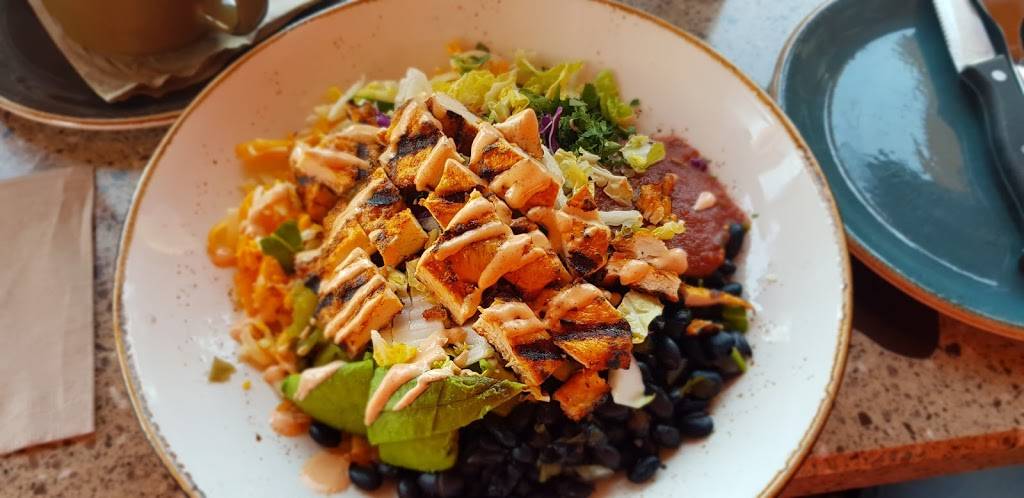 Lazy Dog Restaurant & Bar | restaurant | 8800 Apollo Way, Downey, CA 90242, USA | 5623544910 OR +1 562-354-4910