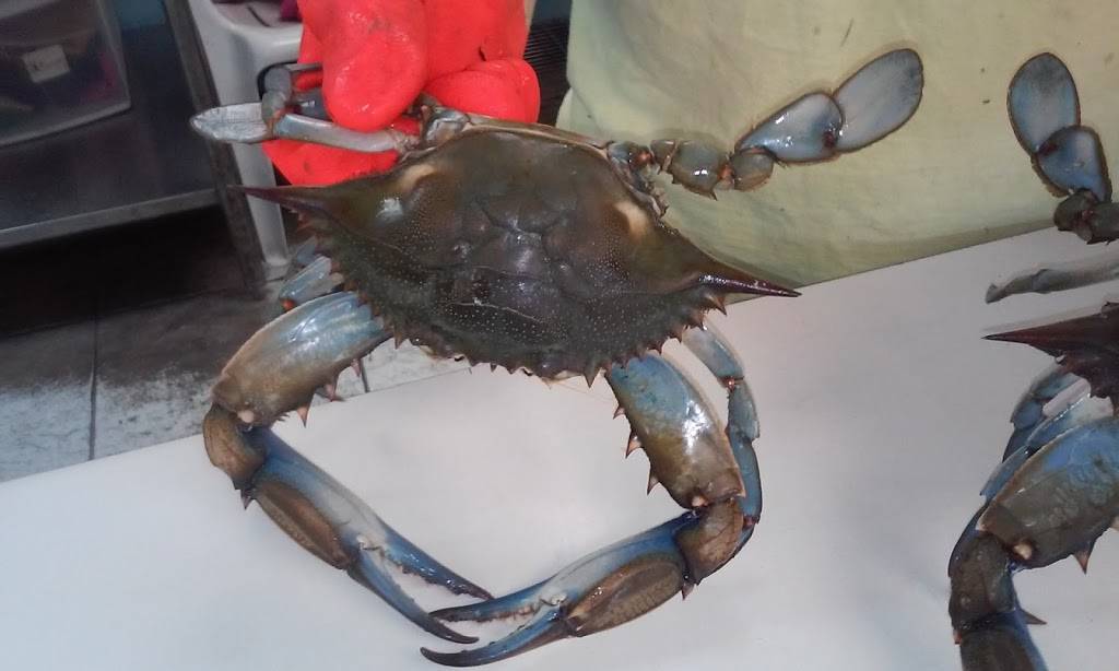 Captain Jimmys Crab House | restaurant | 7214 North Point Rd, Sparrows Point, MD 21219, USA | 4104770775 OR +1 410-477-0775