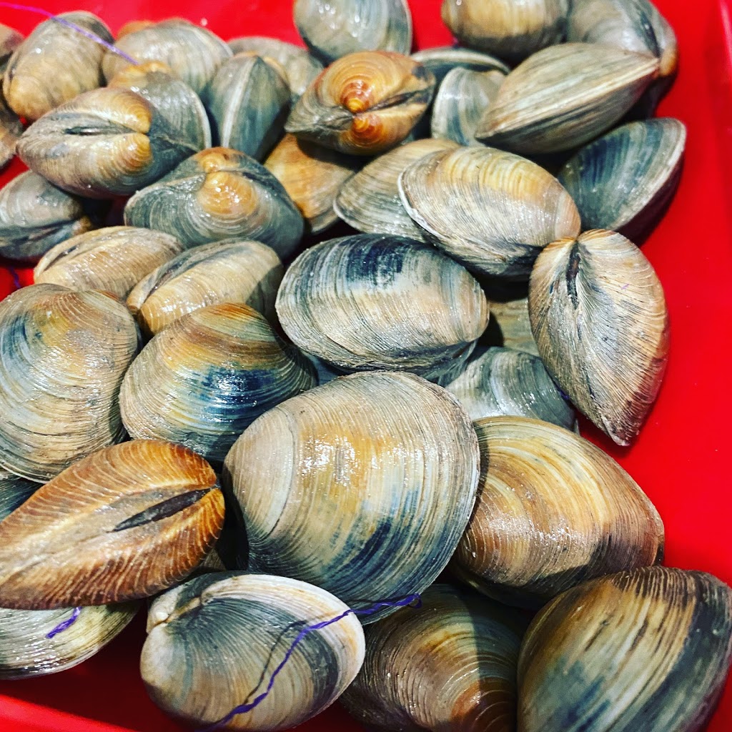 Mystic Meat and Seafood Market Tuckerton | meal takeaway | 11 E Main St Suite 2, Tuckerton, NJ 08087, USA | 6098793142 OR +1 609-879-3142