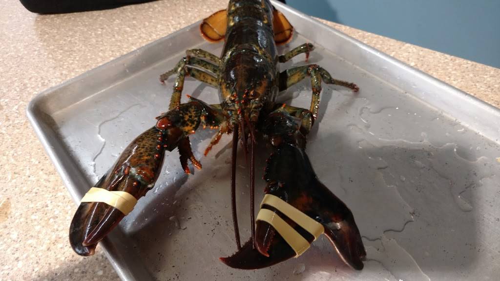 PJs | restaurant | 2616 US-6, Wellfleet, MA 02667, USA | 5083492126 OR +1 508-349-2126