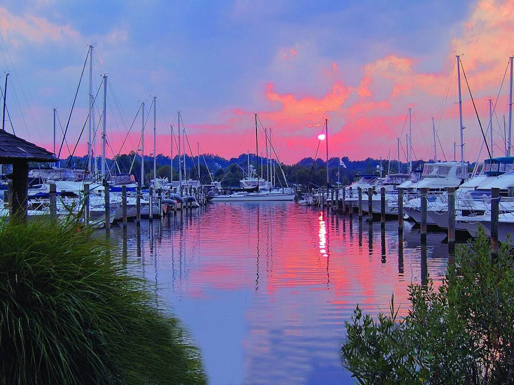 Herrington Harbour South | restaurant | 7149 Lake Shore Dr, North Beach, MD 20714, USA | 3018558399 OR +1 301-855-8399