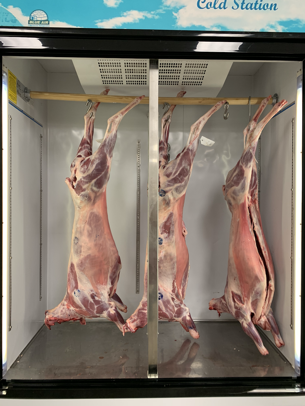 Holyland International supermarket | restaurant | 2940 Vineland Rd, Kissimmee, FL 34746, USA | 4075079875 OR +1 407-507-9875