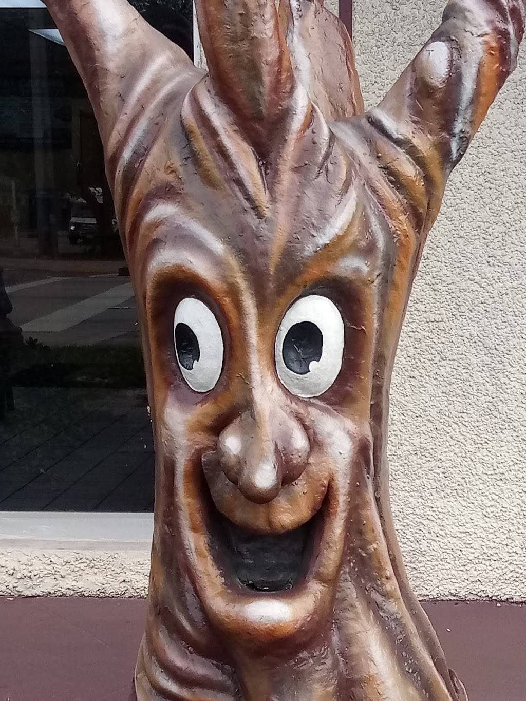 Dunkin | bakery | 6190 Miramar Pkwy, Miramar, FL 33023, USA | 9543787983 OR +1 954-378-7983