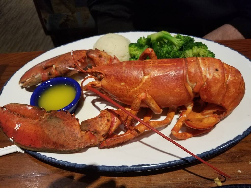 Red Lobster | restaurant | 2220 Nesconset Hwy, Stony Brook, NY 11790, USA | 6316899060 OR +1 631-689-9060