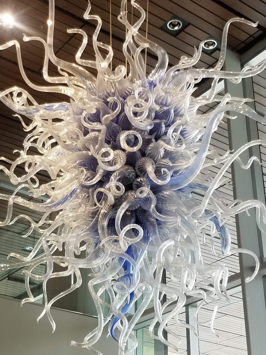 Mariposa | restaurant | 500 S Tryon St, Charlotte, NC 28202, USA | 7049100865 OR +1 704-910-0865