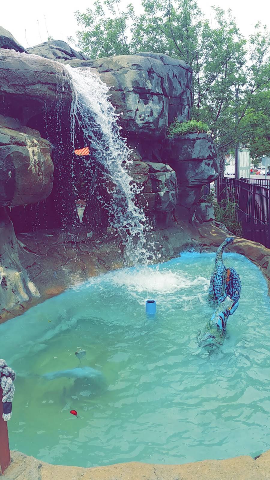 Pirates Paradise Mini Golf | meal takeaway | 2109 Pacific Ave, Virginia Beach, VA 23451, USA | 7574229822 OR +1 757-422-9822