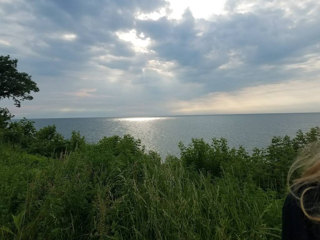 Wild Margaritas Mexican Grill | restaurant | 2532 W Erie Ave, Lorain, OH 44053, USA | 4406544440 OR +1 440-654-4440