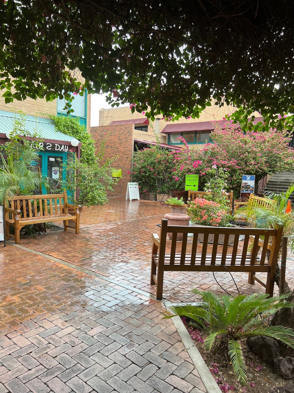 Desert Roots Kitchen | restaurant | 414 S Mill Ave #111, Tempe, AZ 85281, USA | 4803820228 OR +1 480-382-0228