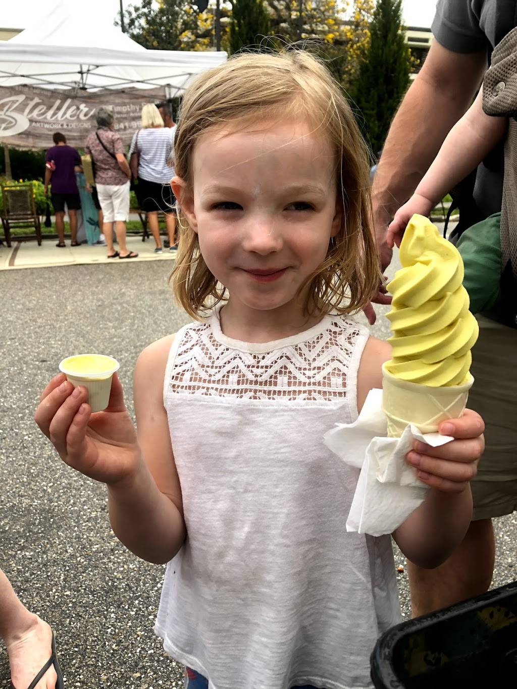 Dairy Free Creamery by Simply Organix | restaurant | 380 Old Englewood Rd, Englewood, FL 34223, USA | 9416232573 OR +1 941-623-2573