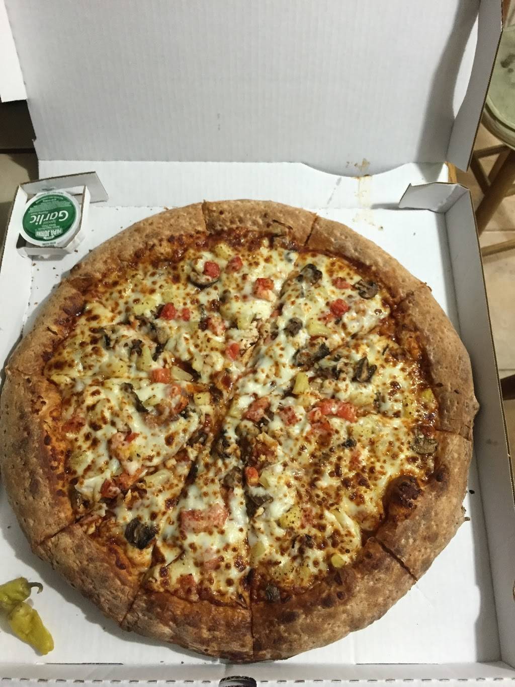 Papa Johns Pizza | restaurant | 9340 N Florida Ave, Tampa, FL 33612, USA | 8139157272 OR +1 813-915-7272