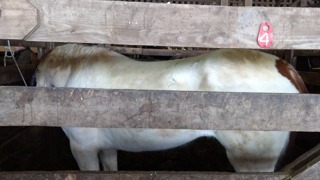 Sugarcreek Stockyard | restaurant | 102 Buckeye St, Sugarcreek, OH 44681, USA | 3308311720 OR +1 330-831-1720