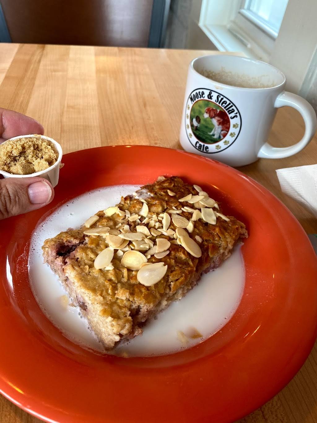 Moose and Stellas | restaurant | 212-298 M-66, Kalkaska, MI 49646, USA | 2312589778 OR +1 231-258-9778