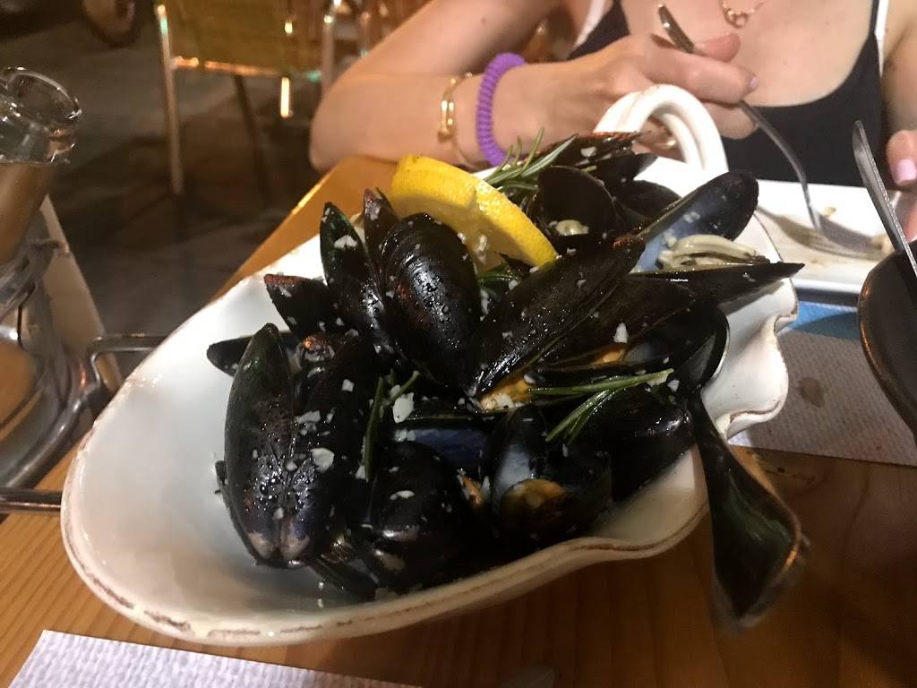 Syros Taverna | restaurant | 51 E Palisade Ave, Englewood, NJ 07631, USA | 2017313556 OR +1 201-731-3556