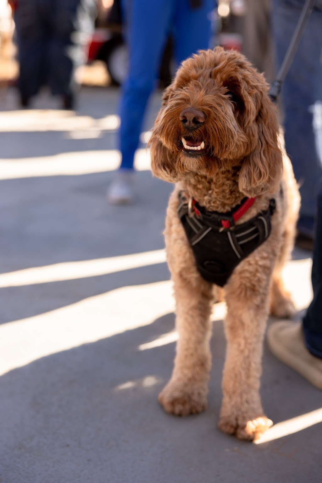 The Truckstop | restaurant | 1319 Lafayette Ave, Terre Haute, IN 47804, USA | 8122299690 OR +1 812-229-9690