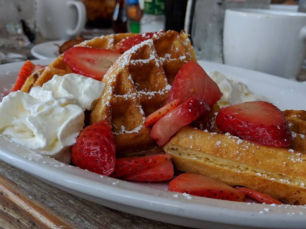 Doreens Cup of Joe | restaurant | 267 N Collier Blvd, Marco Island, FL 34145, USA | 2393942600 OR +1 239-394-2600