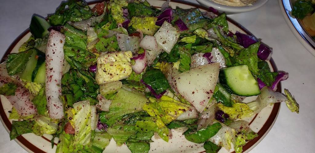 Royal Kabob | restaurant | 3236 Caniff St, Hamtramck, MI 48212, USA | 3138729456 OR +1 313-872-9456