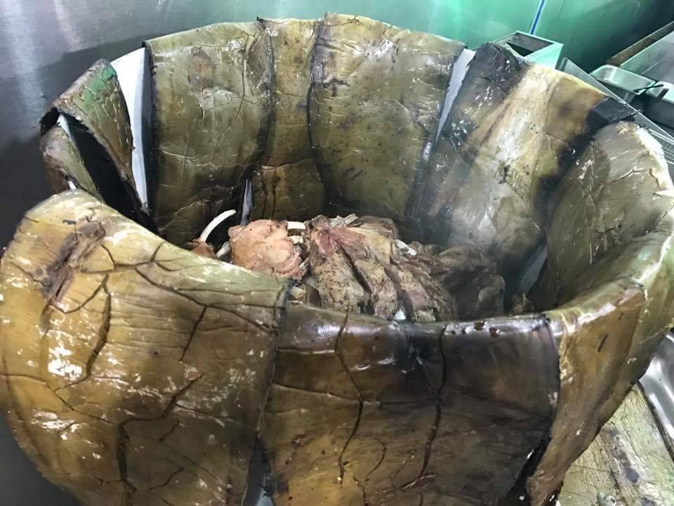 Nuestro Mexico Lindo Restaurant | restaurant | 2839 S Pulaski Rd, Chicago, IL 60623, USA | 3129538932 OR +1 312-953-8932