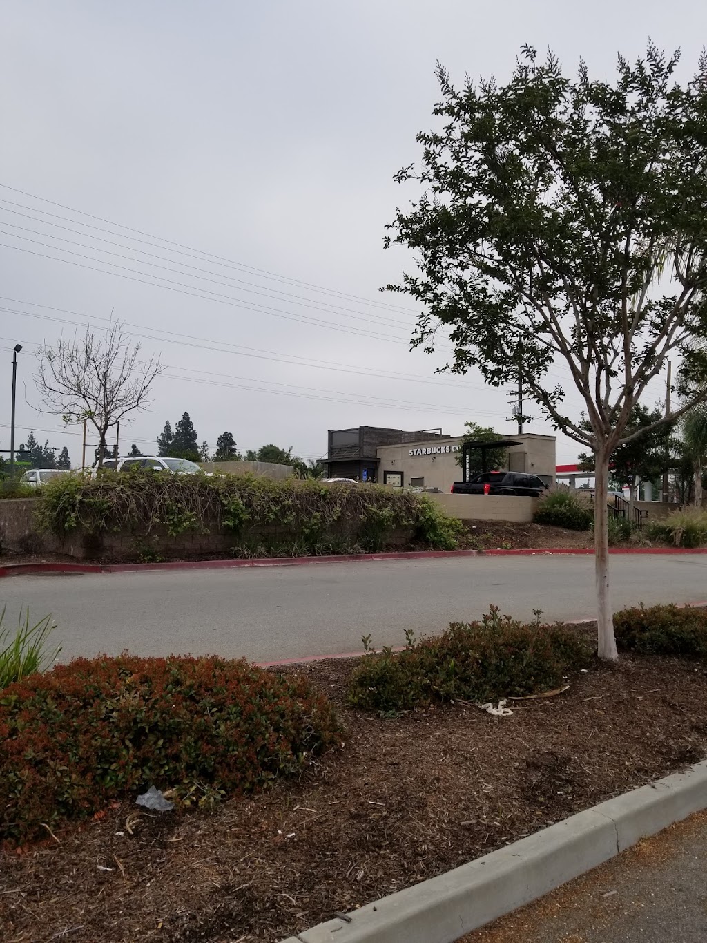 Starbucks | cafe | 127 N Azusa Ave, Covina, CA 91722, USA | 6269677294 OR +1 626-967-7294