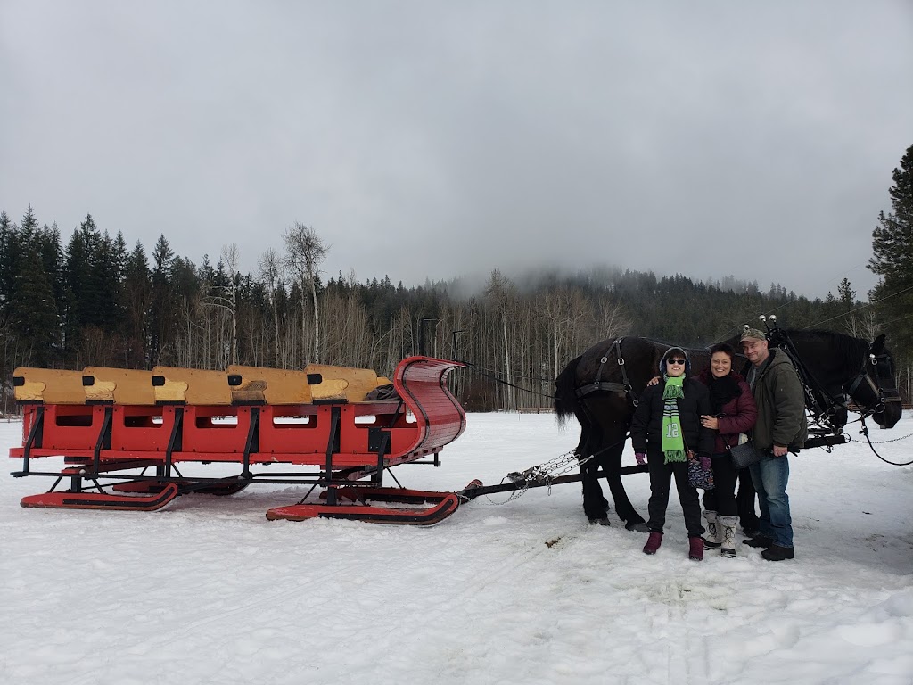 Mountain Springs Lodge | cafe | 19115 Chiwawa Loop Road, Leavenworth, WA 98826, USA | 5097632713 OR +1 509-763-2713