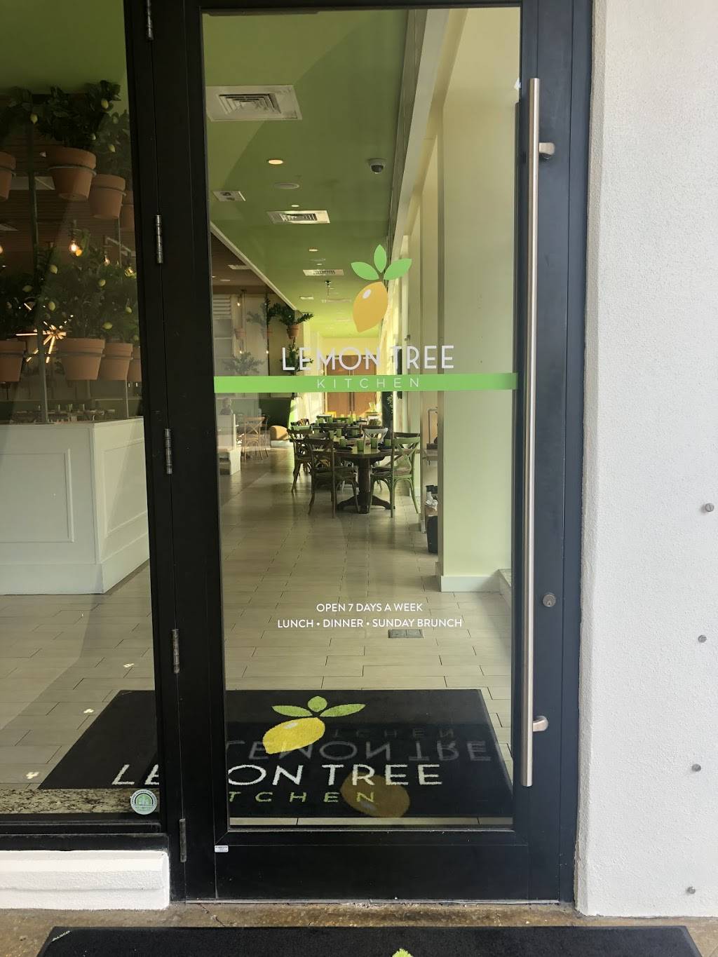 Lemon Tree Kitchen | restaurant | 1289 N Palm Ave, Sarasota, FL 34236, USA | 9415529688 OR +1 941-552-9688