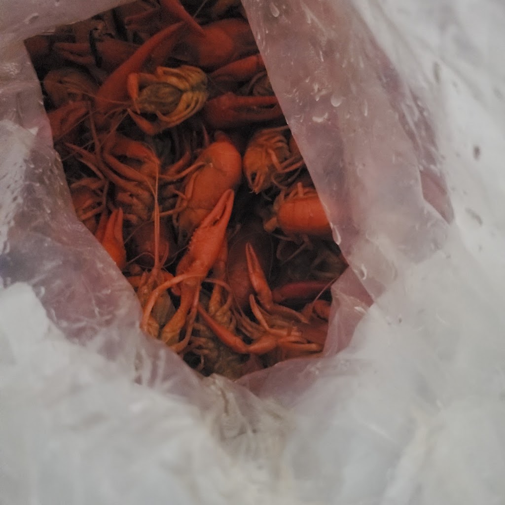 Cajun Corner | restaurant | 7080 Airport Blvd Suite A, Mobile, AL 36608, USA | 2514143062 OR +1 251-414-3062