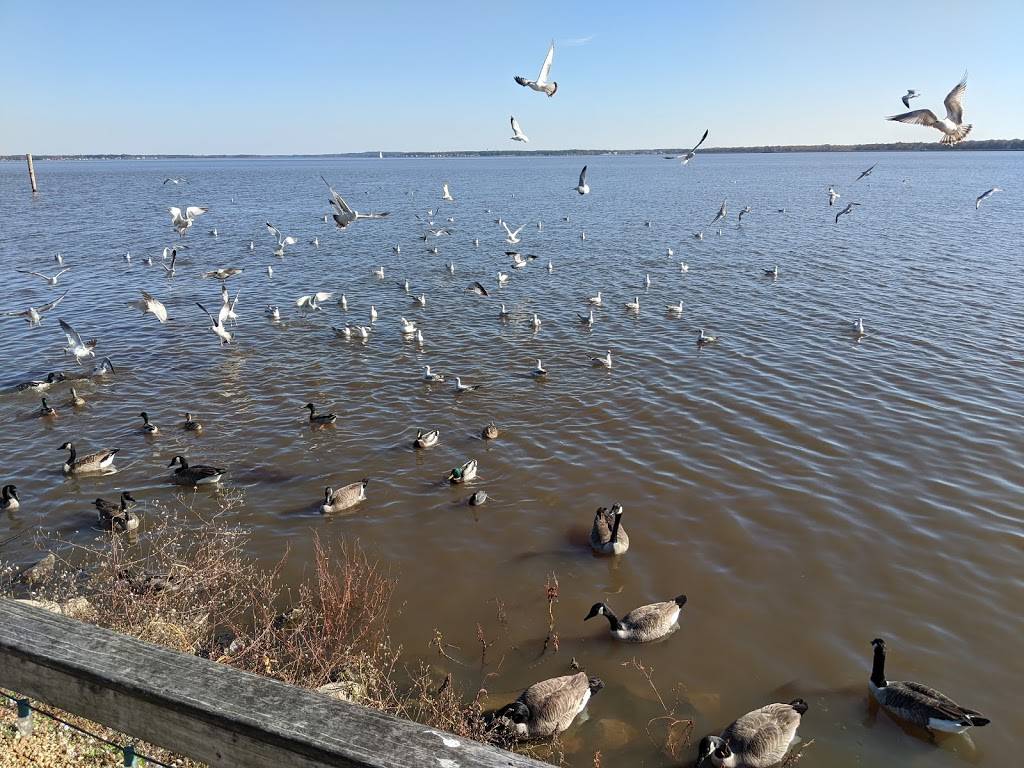 Cock of the Walk | restaurant | 141 Madison Landing Cir, Ridgeland, MS 39157, USA | 6018565500 OR +1 601-856-5500