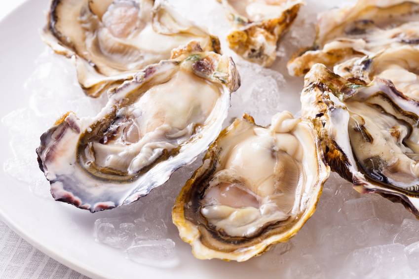 Hudsons Corner | restaurant | 41 S Park Ave, Rockville Centre, NY 11570, USA | 5164421299 OR +1 516-442-1299