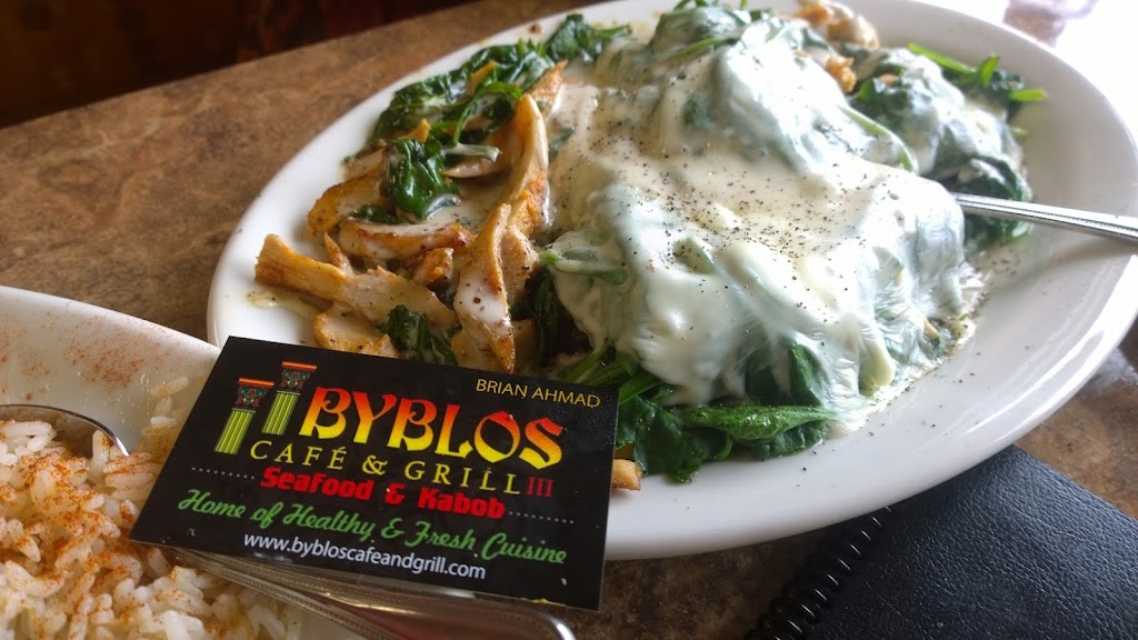 Byblos Cafe & Grill III | restaurant | 27206 Grand River Ave, Redford Charter Twp, MI 48240, USA | 3132029040 OR +1 313-202-9040