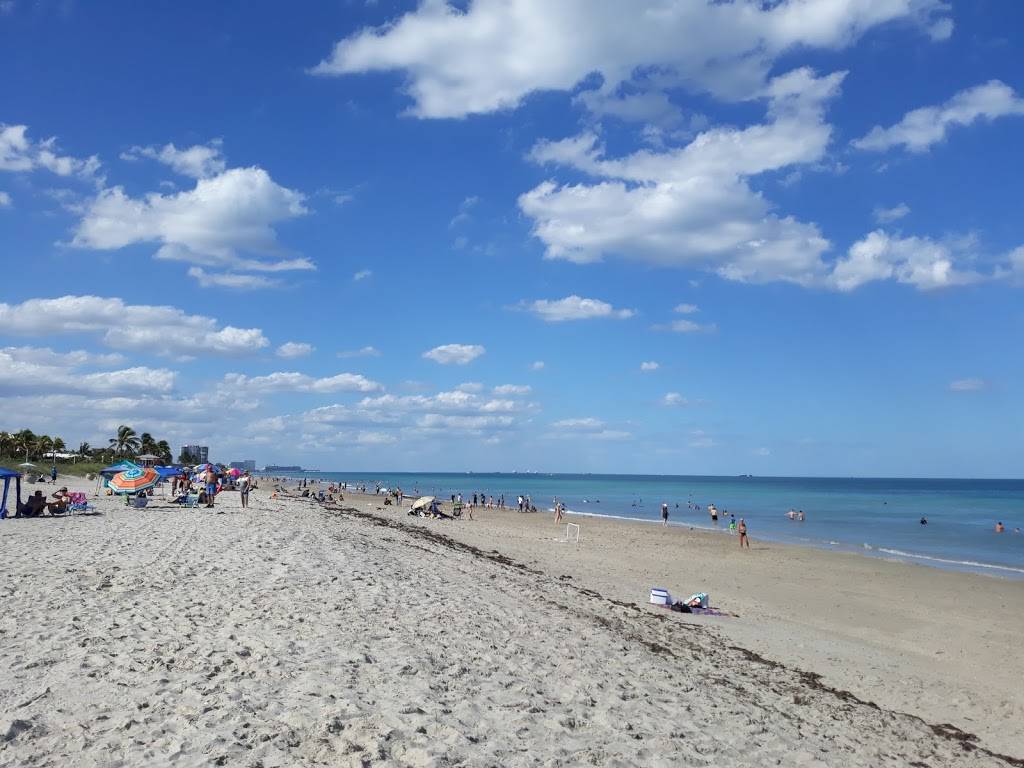 Zacks Snacks | restaurant | 3601 N Ocean Dr, Hollywood, FL 33019, USA | 8723339225 OR +1 872-333-9225