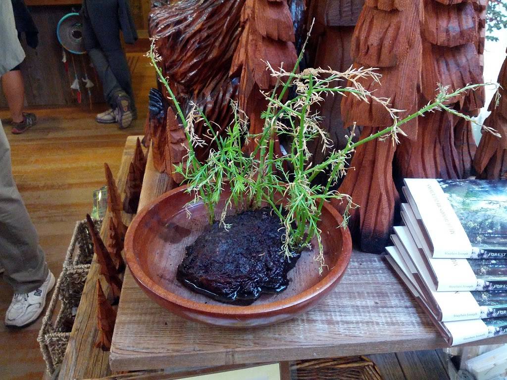 Muir Woods Trading Company | restaurant | 1 Muir Woods Rd, Mill Valley, CA 94941, USA | 4153887059 OR +1 415-388-7059