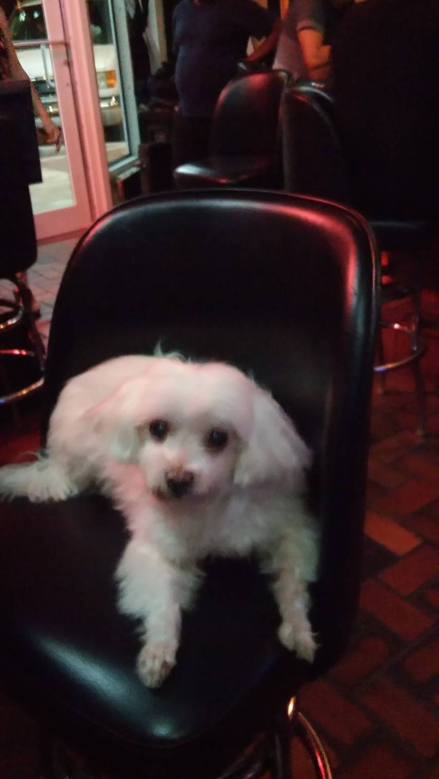 Rag Doll Bar & Grill | restaurant | 31 NE 44th St, Oakland Park, FL 33334, USA | 9543066689 OR +1 954-306-6689