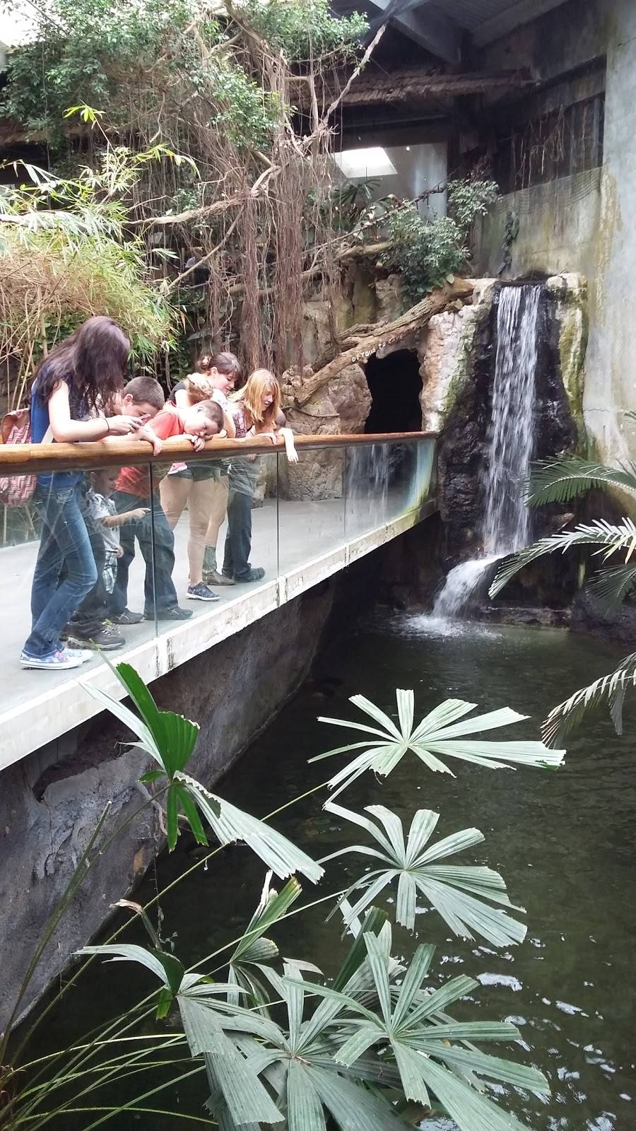 Durham TreeTops Restaurant | restaurant | 3701 S 10th St, Omaha, NE 68107, USA | 4027338401 OR +1 402-733-8401