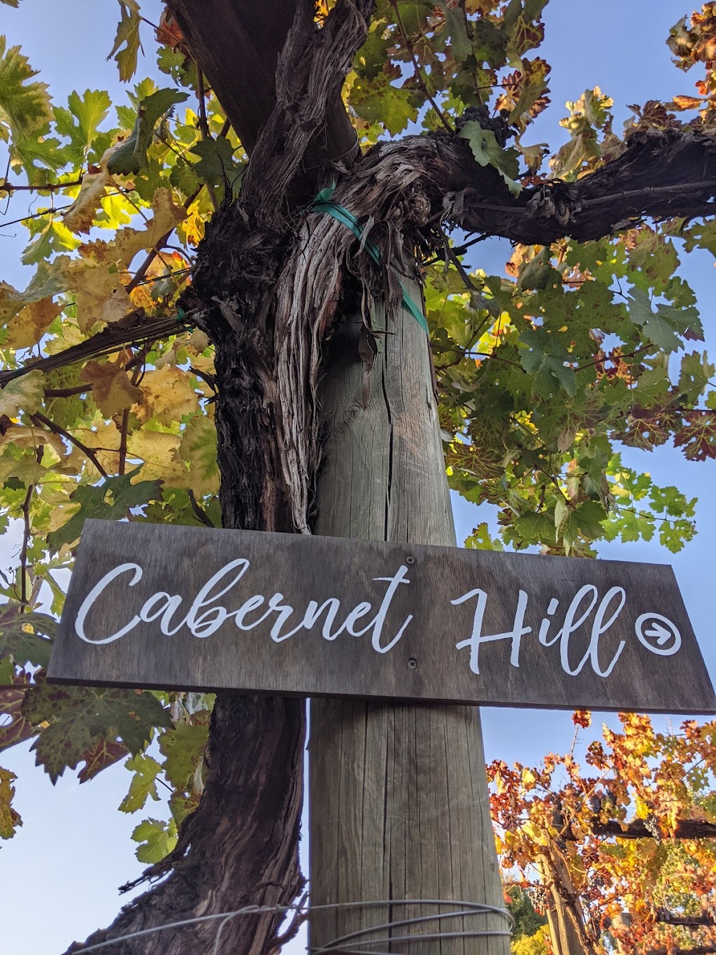 Bistro at Monte de Oro Winery | restaurant | 35820 Rancho California Rd, Temecula, CA 92591, USA | 9514916551 OR +1 951-491-6551