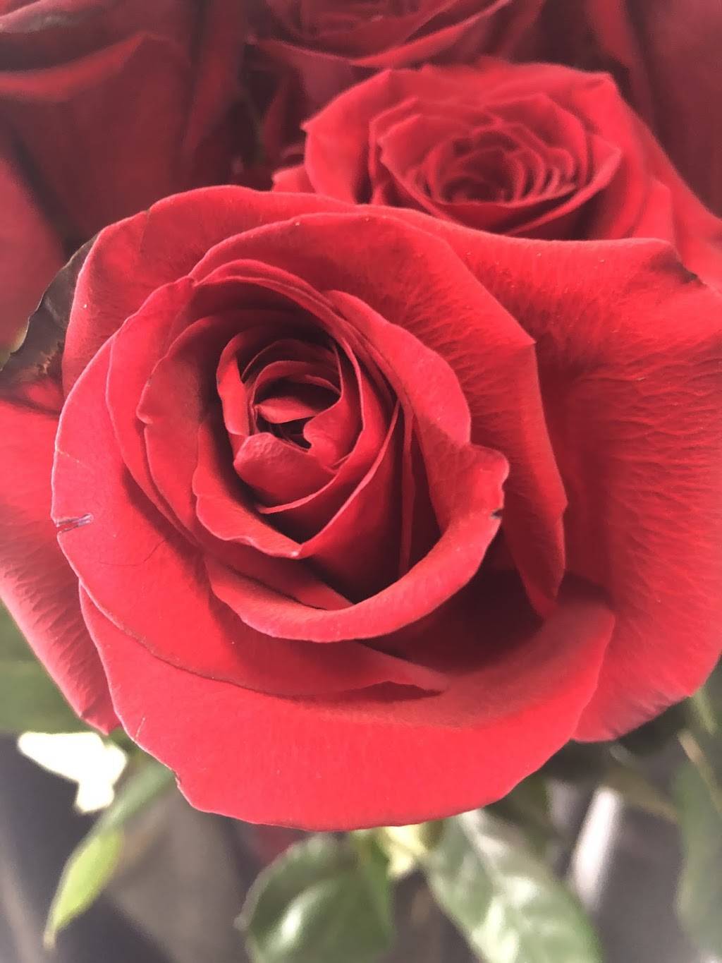 Le Petit Jardin | restaurant | 1456 S Robertson Blvd, Los Angeles, CA 90035, USA | 3102785294 OR +1 310-278-5294