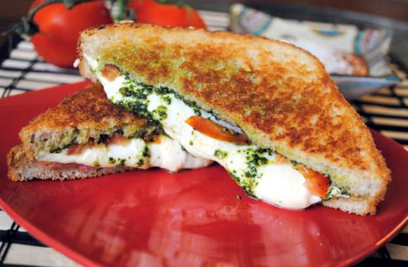 The Pint and Brew | restaurant | 3261 Tampa Rd, Palm Harbor, FL 34684, USA | 7275159946 OR +1 727-515-9946