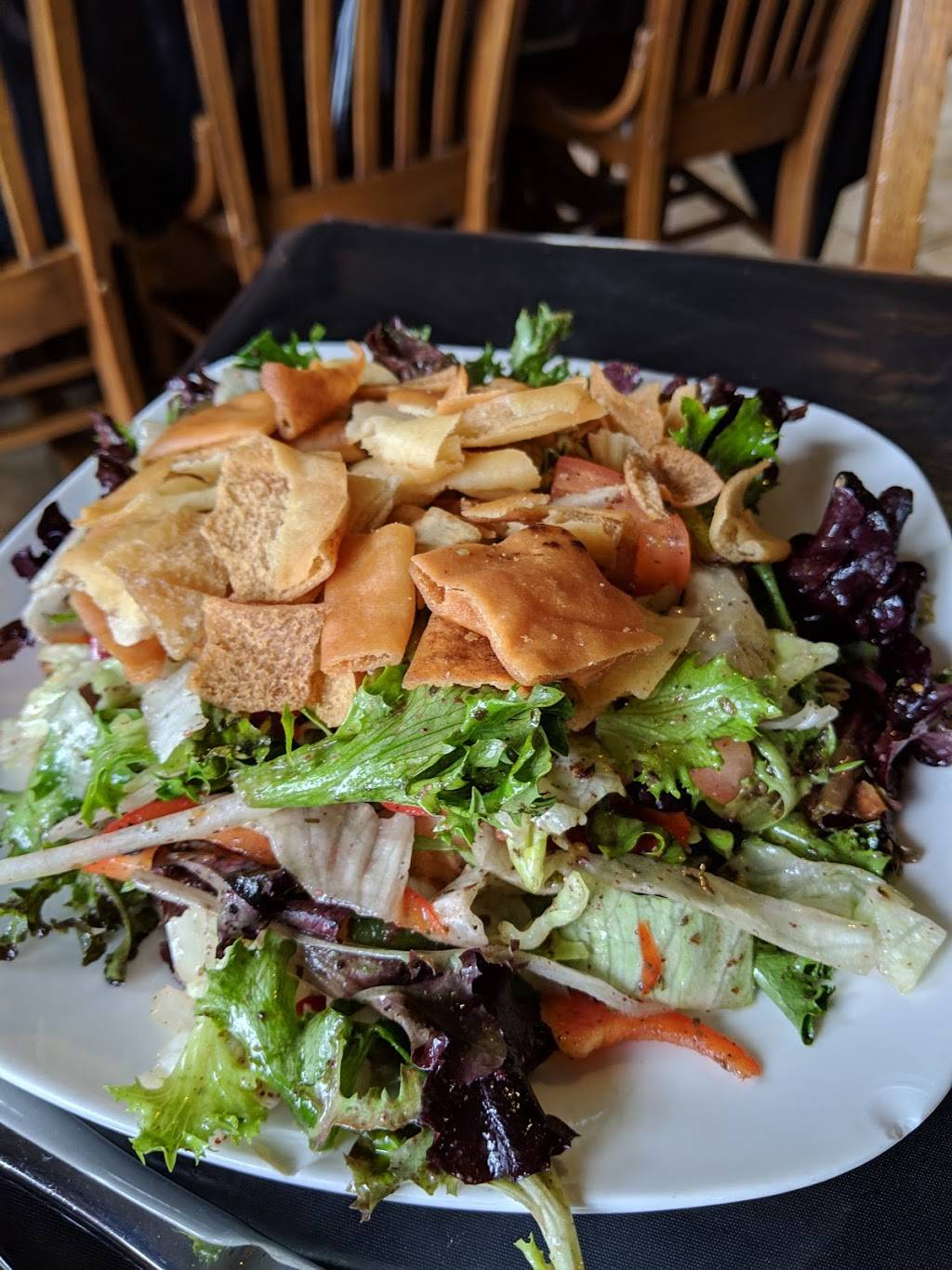 Zenobia Middle Eastern Cuisine | restaurant | 584 E Main St, Canfield, OH 44406, USA | 3302860800 OR +1 330-286-0800