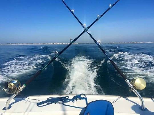 Captain Bobs Lobster Tours & Fishing Charters | restaurant | 1 Ocean Blvd, Hampton, NH 03842, USA | 6032311698 OR +1 603-231-1698