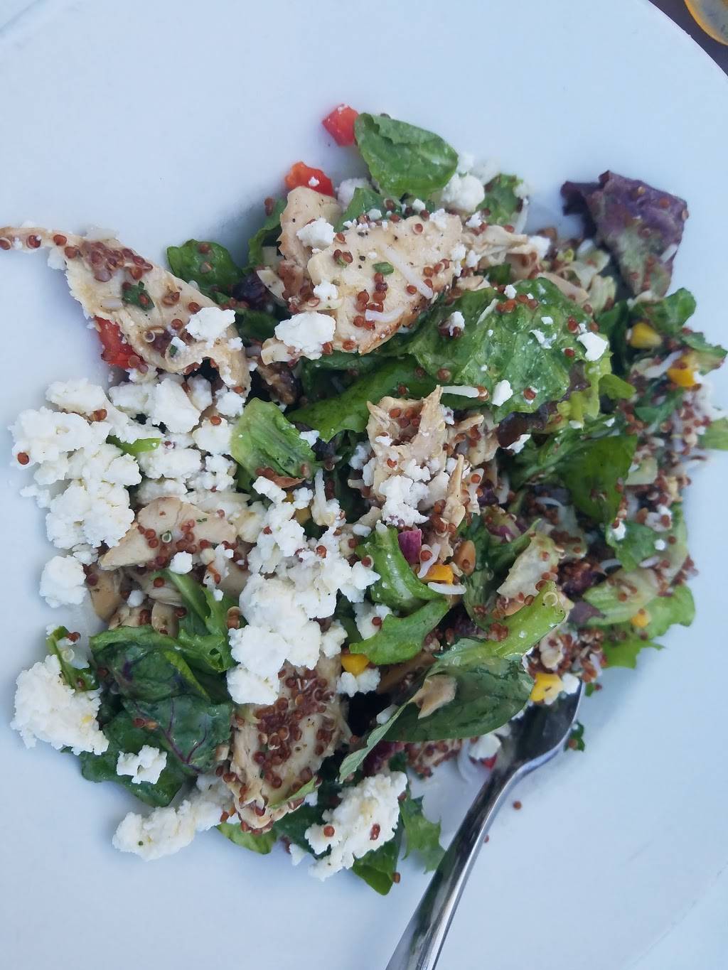 Kaluz Restaurant | restaurant | 3300 E Commercial Blvd, Fort Lauderdale, FL 33308, USA | 9547722209 OR +1 954-772-2209